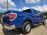 2010 BLUE Ford F-150 XLT SUPER CREW (1FTEW1C85AF) with an 4.6L V8 SOHC 24V engine, 4-Speed Automatic transmission, located at 2660 S.Garland Avenue, Garland, TX, 75041, (469) 298-3118, 32.885551, -96.655602 - Photo#3
