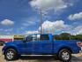 2010 BLUE Ford F-150 XLT SUPER CREW (1FTEW1C85AF) with an 4.6L V8 SOHC 24V engine, 4-Speed Automatic transmission, located at 2660 S.Garland Avenue, Garland, TX, 75041, (469) 298-3118, 32.885551, -96.655602 - Photo#7