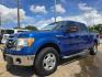 2010 BLUE Ford F-150 XLT SUPER CREW (1FTEW1C85AF) with an 4.6L V8 SOHC 24V engine, 4-Speed Automatic transmission, located at 2660 S.Garland Avenue, Garland, TX, 75041, (469) 298-3118, 32.885551, -96.655602 - Photo#8