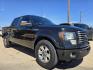 2011 BLACK Ford F-150 FX2 SuperCrew 5.5-ft. Bed 2WD (1FTFW1CF9BK) with an 5.0L V8 engine, 4-Speed Automatic transmission, located at 2660 S.Garland Avenue, Garland, TX, 75041, (469) 298-3118, 32.885551, -96.655602 - Photo#1