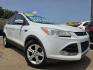 2013 Ford Escape SE (1FMCU0GX8DU) with an 1.6L L4 DOHC 16V engine, 6-Speed Automatic transmission, located at 2660 S.Garland Avenue, Garland, TX, 75041, (469) 298-3118, 32.885551, -96.655602 - Welcome to DallasAutos4Less, one of the Premier BUY HERE PAY HERE Dealers in the North Dallas Area. We specialize in financing to people with NO CREDIT or BAD CREDIT. We need proof of income, proof of residence, and a ID. Come buy your new car from us today!! This is a Super Clean 2013 FORD ESCAP - Photo#0