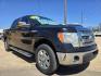 2013 BLACK Ford F-150 XLT SuperCrew (1FTEW1CM9DK) with an 3.7L V6 DOHC 24V engine, 6-Speed Automatic transmission, located at 2660 S.Garland Avenue, Garland, TX, 75041, (469) 298-3118, 32.885551, -96.655602 - Photo#1