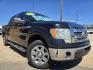 2013 BLACK Ford F-150 XLT SuperCrew (1FTEW1CM9DK) with an 3.7L V6 DOHC 24V engine, 6-Speed Automatic transmission, located at 2660 S.Garland Avenue, Garland, TX, 75041, (469) 298-3118, 32.885551, -96.655602 - Photo#0