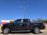 2013 BLACK Ford F-150 XLT SuperCrew (1FTEW1CM9DK) with an 3.7L V6 DOHC 24V engine, 6-Speed Automatic transmission, located at 2660 S.Garland Avenue, Garland, TX, 75041, (469) 298-3118, 32.885551, -96.655602 - Photo#7