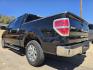 2013 BLACK Ford F-150 XLT SuperCrew (1FTEW1CM9DK) with an 3.7L V6 DOHC 24V engine, 6-Speed Automatic transmission, located at 2660 S.Garland Avenue, Garland, TX, 75041, (469) 298-3118, 32.885551, -96.655602 - Photo#6