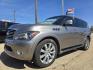 2013 SILVER Infiniti QX56 (JN8AZ2NF2D9) with an 5.6L V8 DOHC 32V engine, 5-Speed Automatic transmission, located at 2660 S.Garland Avenue, Garland, TX, 75041, (469) 298-3118, 32.885551, -96.655602 - Photo#7