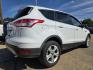 2014 WHITE Ford Escape SE (1FMCU0GX6EU) with an 1.6L L4 DOHC 16V engine, 6-Speed Automatic transmission, located at 2660 S.Garland Avenue, Garland, TX, 75041, (469) 298-3118, 32.885551, -96.655602 - Photo#3