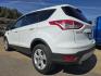 2014 WHITE Ford Escape SE (1FMCU0GX6EU) with an 1.6L L4 DOHC 16V engine, 6-Speed Automatic transmission, located at 2660 S.Garland Avenue, Garland, TX, 75041, (469) 298-3118, 32.885551, -96.655602 - Photo#5