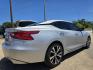 2017 SILVER Nissan Maxima 3.5 SV (1N4AA6AP2HC) with an 3.5L V6 DOHC 24V engine, CVT transmission, located at 2660 S.Garland Avenue, Garland, TX, 75041, (469) 298-3118, 32.885551, -96.655602 - Photo#3