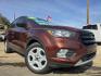2018 BROWN Ford Escape S (1FMCU0F74JU) with an 2.5L L4 DOHC 16V engine, 6A transmission, located at 2660 S.Garland Avenue, Garland, TX, 75041, (469) 298-3118, 32.885551, -96.655602 - Photo#0