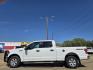 2018 WHITE Ford F-150 XLT (1FTFW1E56JF) with an 5.0L V8 OHV 16V engine, 6A transmission, located at 2660 S.Garland Avenue, Garland, TX, 75041, (469) 298-3118, 32.885551, -96.655602 - Photo#7